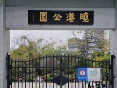 -晓港公园