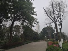 -大渡口区义渡公园