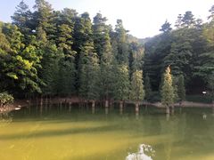 -广州市帽峰山景区