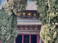 -报恩寺(平武县)