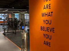 -健身专家Wellness Experts