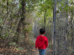 -沈阳辉山风景区