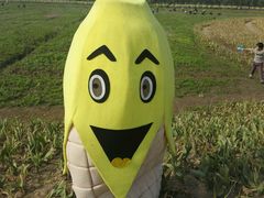 android_upload_pic-漩门湾国家湿地公园