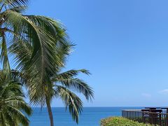 -日落吧·海景咖啡厅·餐酒吧·鸡尾酒·下午茶·乐队表演·浪漫夕阳·三亚文华东方酒店