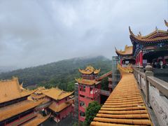 -东莞市大岭山森林公园