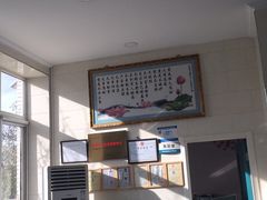 -美联众合动物医院·内科·皮肤科·外科(古城分院)