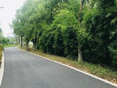 -昆山城市生态森林公园