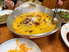 -张鸟园农家乐(张鸟园店)