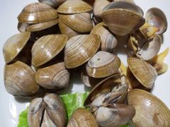 -悦港(悦港酒店)