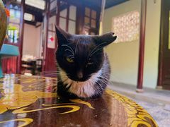 -西园戒幢律寺