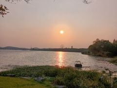 -高子水居
