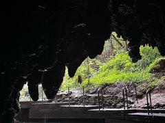 -怀托摩萤火虫洞