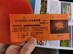-上海长兴岛郊野公园