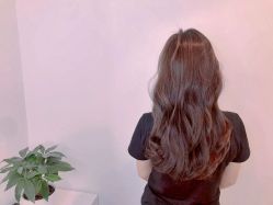 -BULB STUDIO 巴柏明星发型工作室