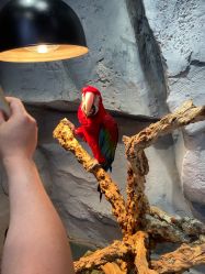 -Zoolung Zoolung动物主题公园(海信广场店)