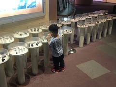 -陕西自然博物馆