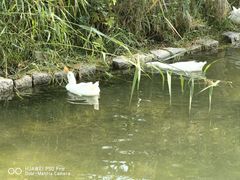 -三里河公园