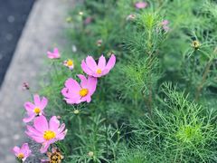 -杭州城北体育公园