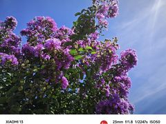 -石家庄市植物园