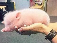 -Jazcu珍仕菓鲜榨果汁(西单大悦城店)