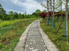 -桤木河湿地公园