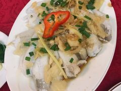-蛇口康乐快餐鱼仔档(翠苑小区店)