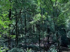 -波尔登森林公园