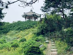 -国家植物园南园