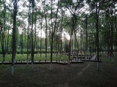 -东升八家郊野公园
