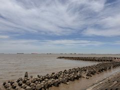 -上海滨江森林公园