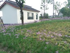 -菊园百果园