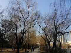 -迎泽公园