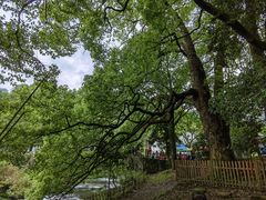 -石台牯牛降景区