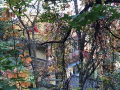 -千佛山风景名胜区
