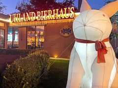 -普兰达德国餐厅·德式脆皮烤猪肘·自酿啤酒(观唐店)