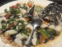鲜花椒蒸龙趸鱼-任兴记(定西路店)