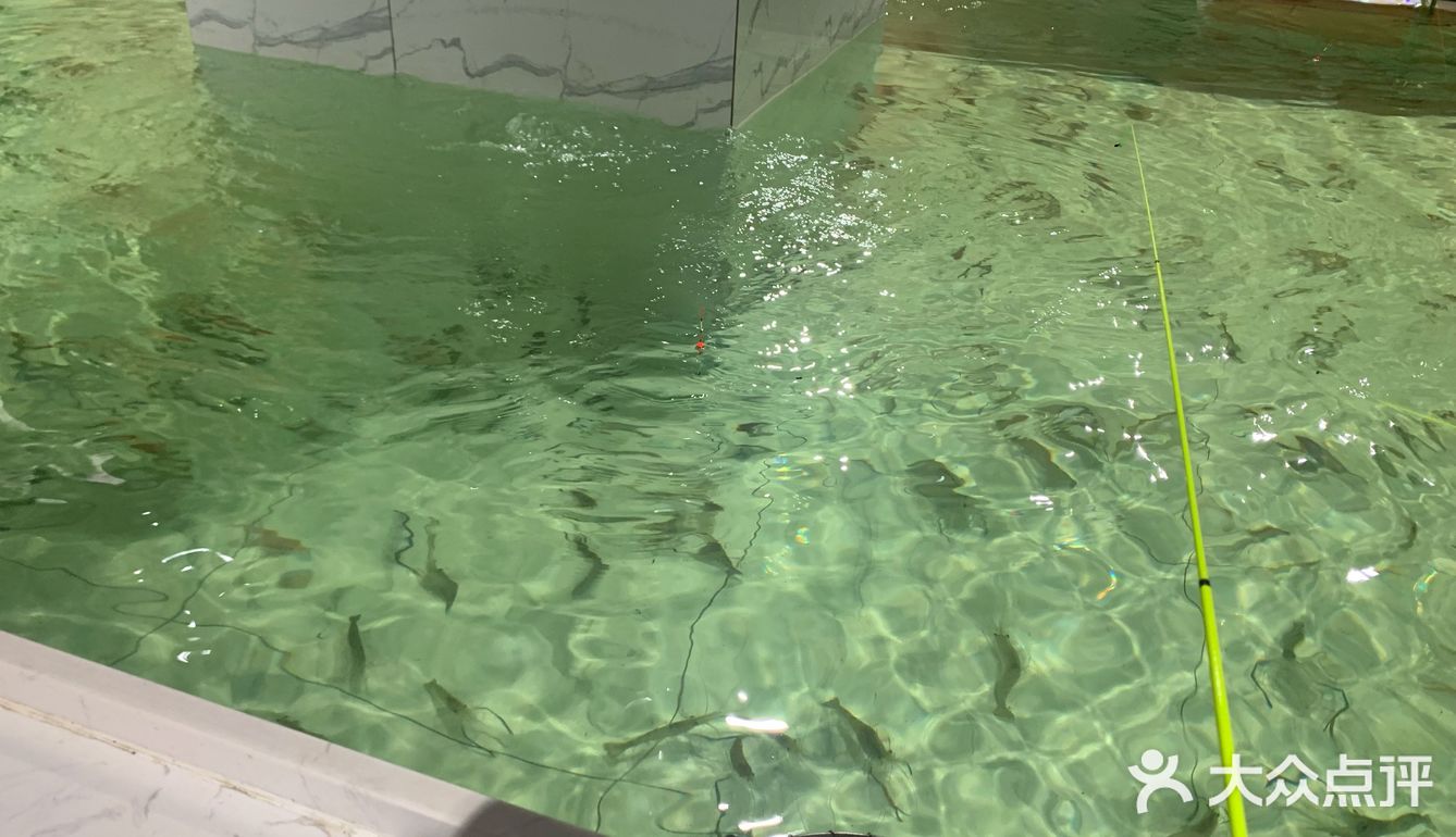 #凯尔文探店#哈虾大少