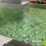 #凯尔文探店#哈虾大少