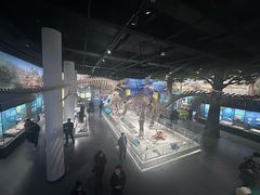 -国家自然博物馆