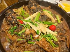 -老板恋上鱼(印象城店)