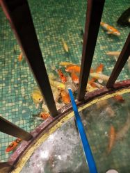 -酷嗒动物文化乐园(cutezoo西溪乐天城店)