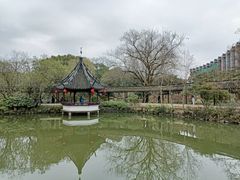 -上海醉白池公园