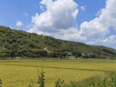-南泥湾风景区