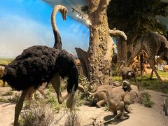 -国家自然博物馆