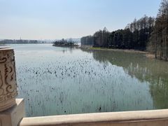 -东湖落雁景区