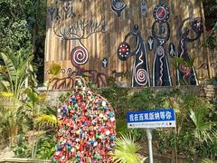 -西双版纳原始森林公园