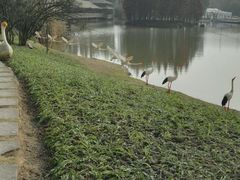 -秀丽东方
