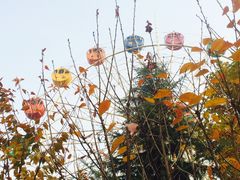 -西安市长乐公园