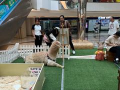 -一方渔歌蒸汽海鲜自助(文化路万达广场店)