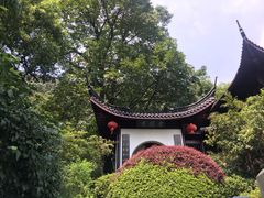 -十八棵（老龙井）御茶园(老龙井店)